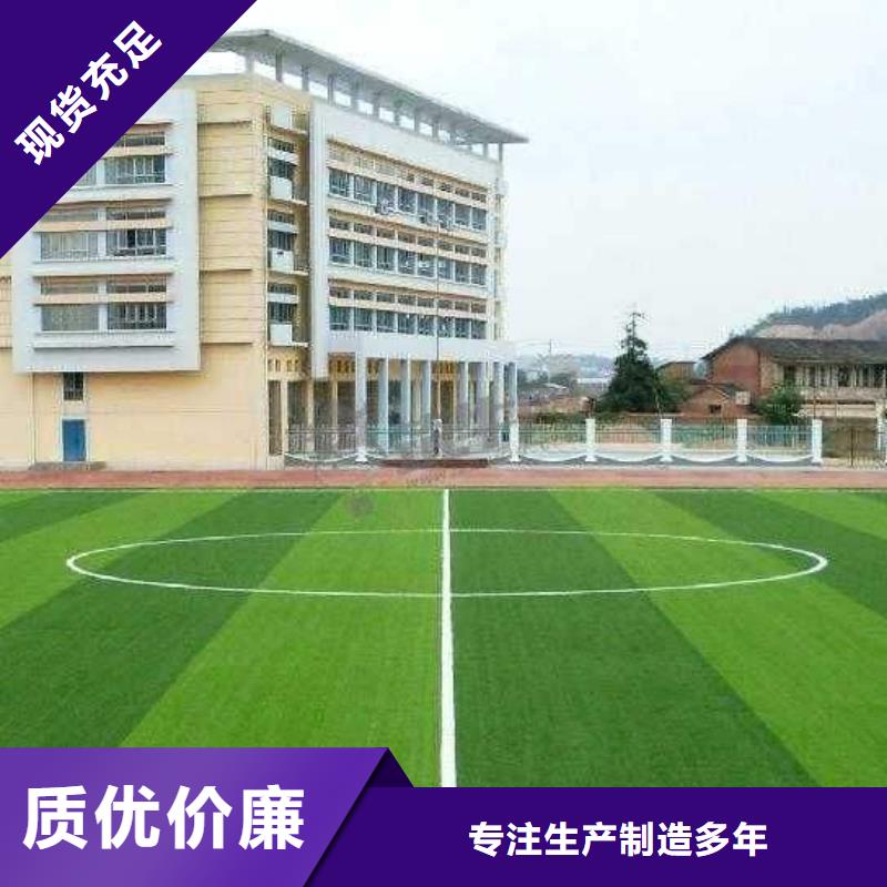 塑胶场地人工草皮足球场建设现货直发当地品牌
