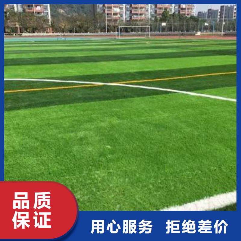 人造草坪_【弹性地板球馆】库存丰富本地货源