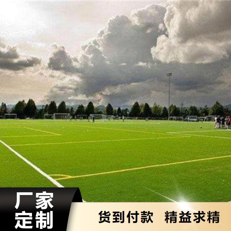 人造草坪-橡胶地板欢迎新老客户垂询精工制作