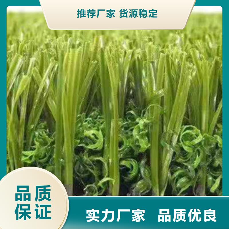 人造草坪塑胶跑道厂家敢与同行比服务大量现货
