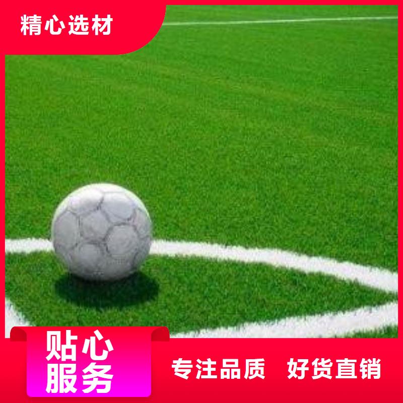 人造草坪,塑胶跑道施工省心又省钱研发生产销售
