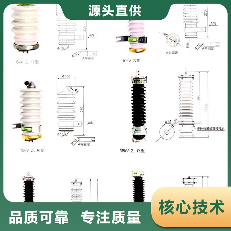 氧化锌避雷器XRNT-12KV熔断器质量为本实体厂家大量现货