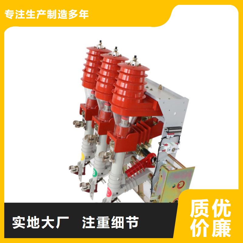 【高压负荷开关】接地故障指示器可定制有保障附近货源