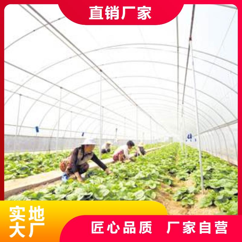 大棚管连体大棚优质材料厂家直销支持货到付清