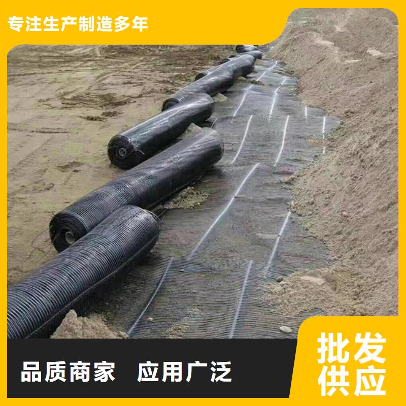 单向塑料土工格栅涤纶土工格栅多种工艺现货充足量大优惠