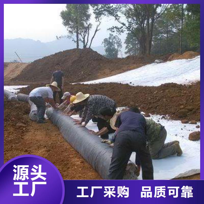 膨润土防水毯玻纤土工格栅适用范围广同城厂家