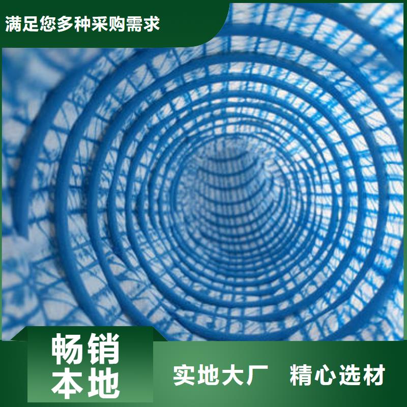 软式透水管-三维植被网选择大厂家省事省心当地品牌