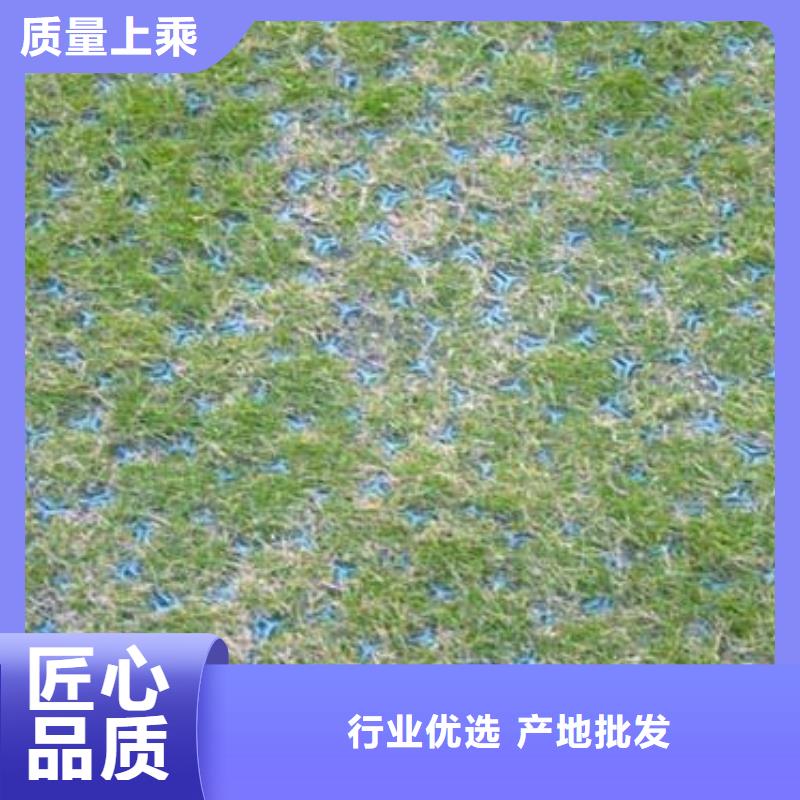 植草格单向塑料土工格栅精选好货大量现货供应