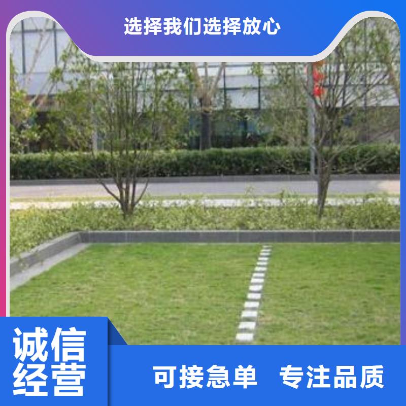 植草格TPO防水卷材品质过硬同城公司