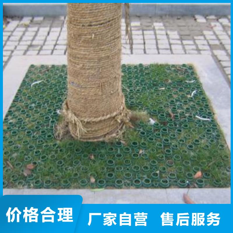 【植草格,蜂巢格室定金锁价】附近供应商