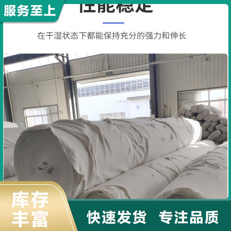 土工布【三维土工网垫】严格把关质量放心厂家工艺先进