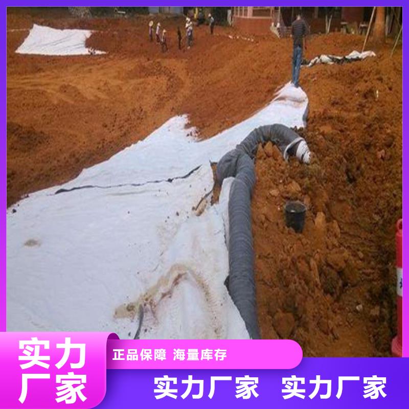 膨润土防水毯-双向塑料土工格栅厂家品控严格把实惠留给您