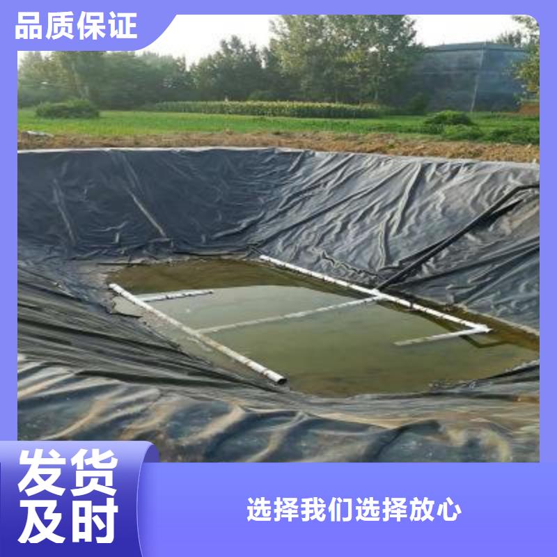 土工膜塑料土工格栅定制速度快工期短诚信经营质量保证