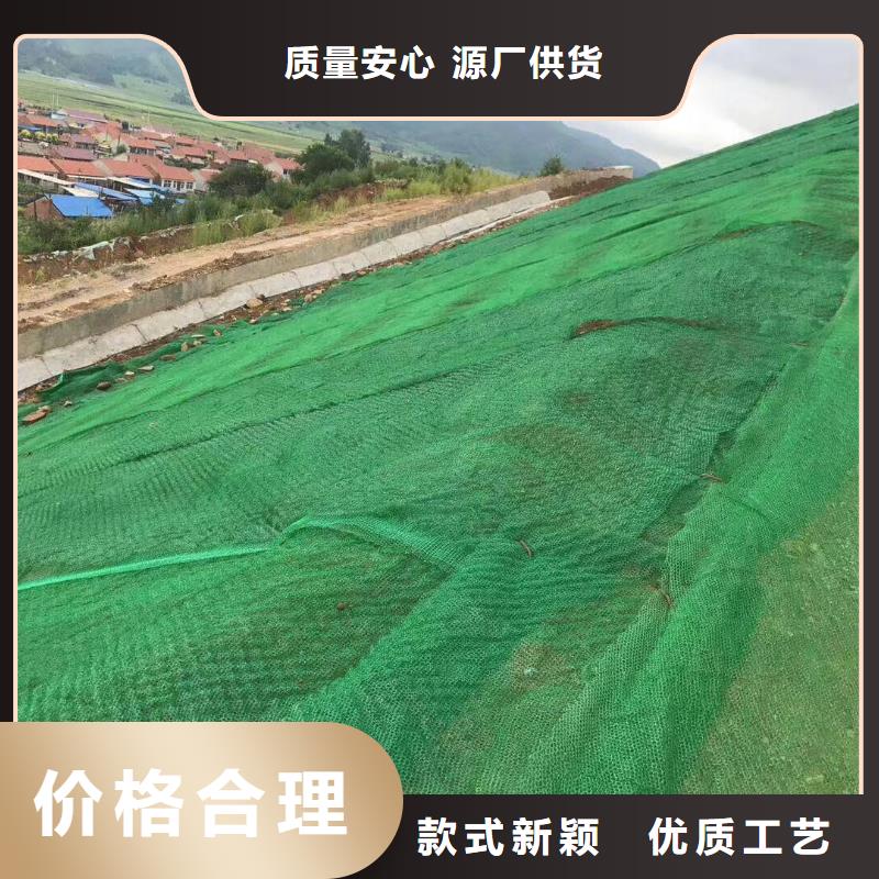 三维植被网三维土工网垫做工细致厂家采购