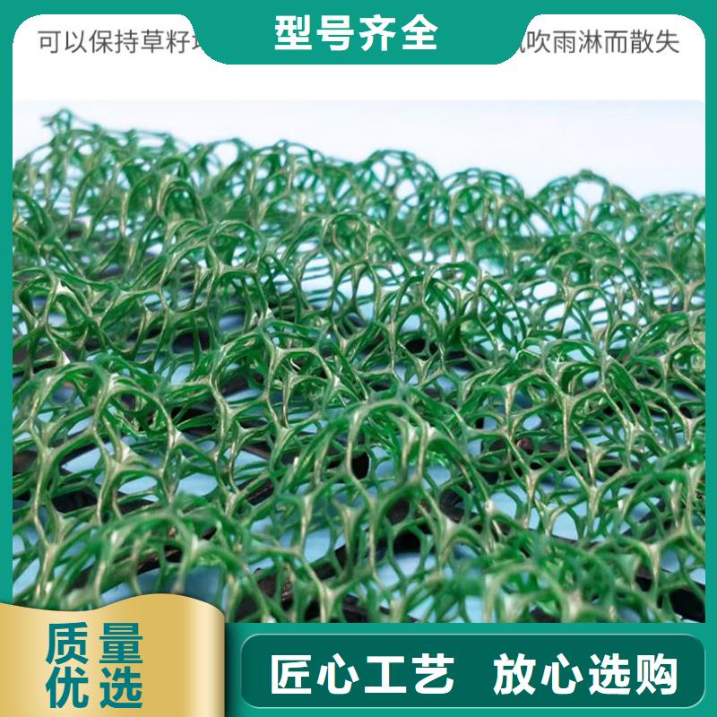 【三维植被网】塑料土工格栅物流配货上门当地经销商