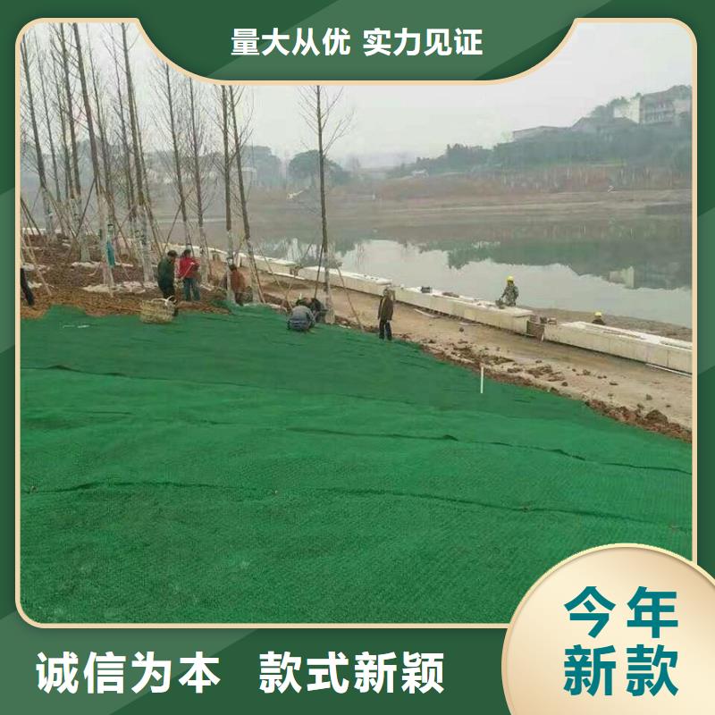 三维植被网【三维土工网垫】海量货源当地品牌