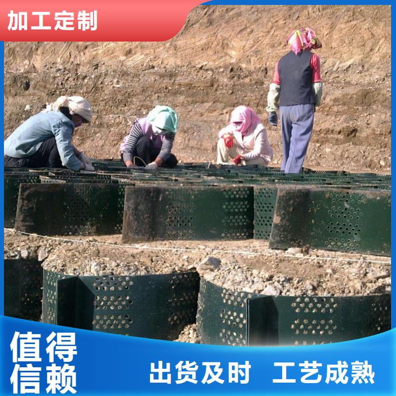 土工格室凸结点钢塑土工格栅重信誉厂家订制批发