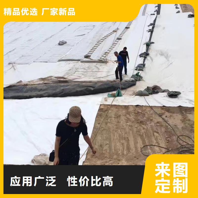 三维复合排水网【双向土工格栅】懂您所需同行低价