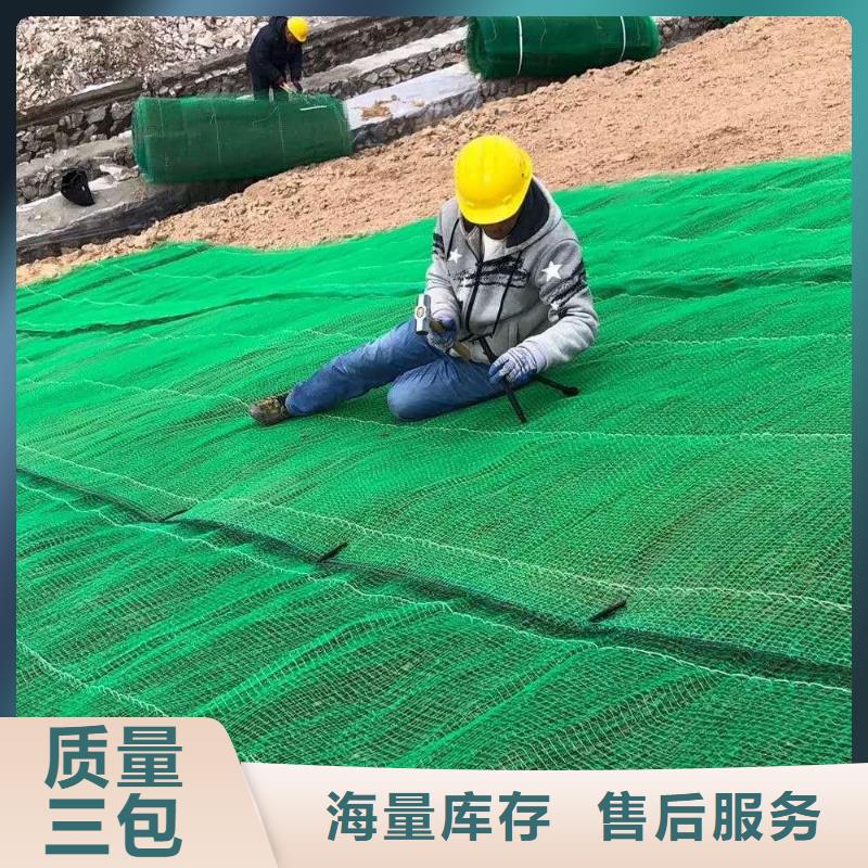 【三维植被网双向拉伸土工格栅质检严格放心品质】附近经销商