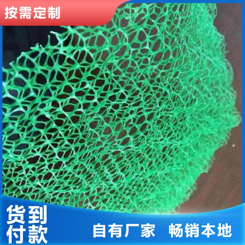 三维植被网钢塑土工格栅严谨工艺诚信经营质量保证