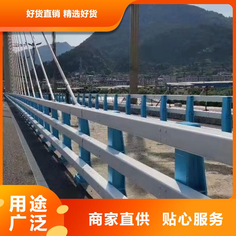 道路护栏【河堤护栏】厂家直营款式多样