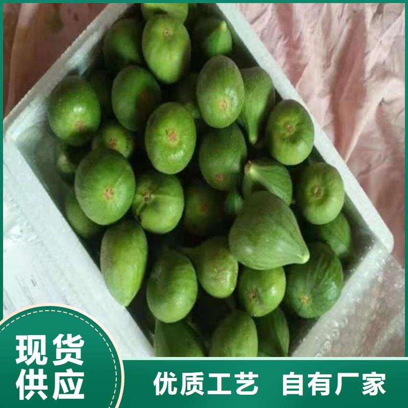 无花果_油蟠7-7一站式采购质保一年