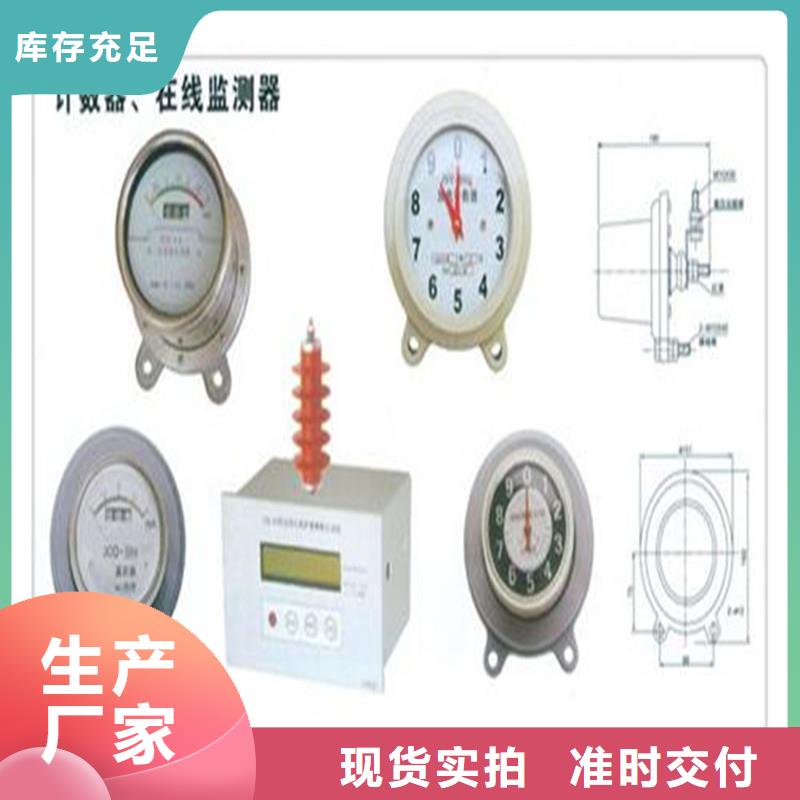 计数器氧化锌避雷器供应为品质而生产当地制造商