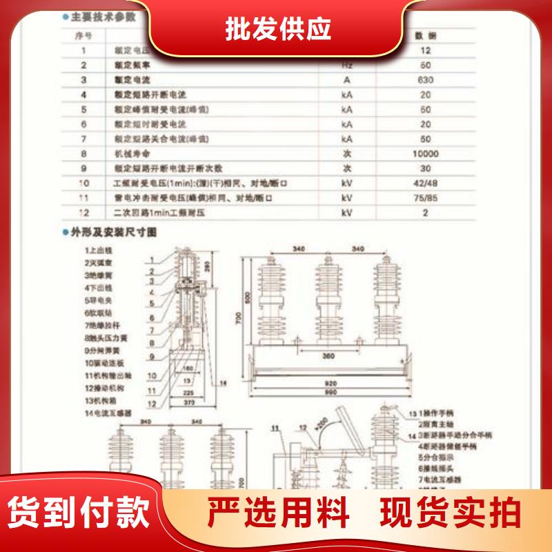 真空断路器实力公司精选厂家好货