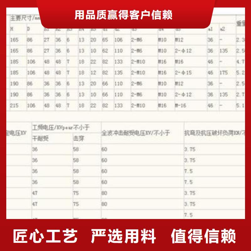 绝缘子穿墙套管销售团队源头厂家供应用心提升细节