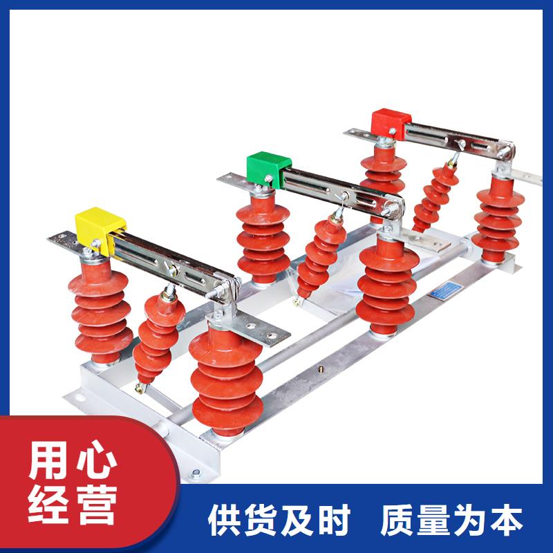 隔离开关-【氧化锌避雷器生产厂家】产地批发材质实在