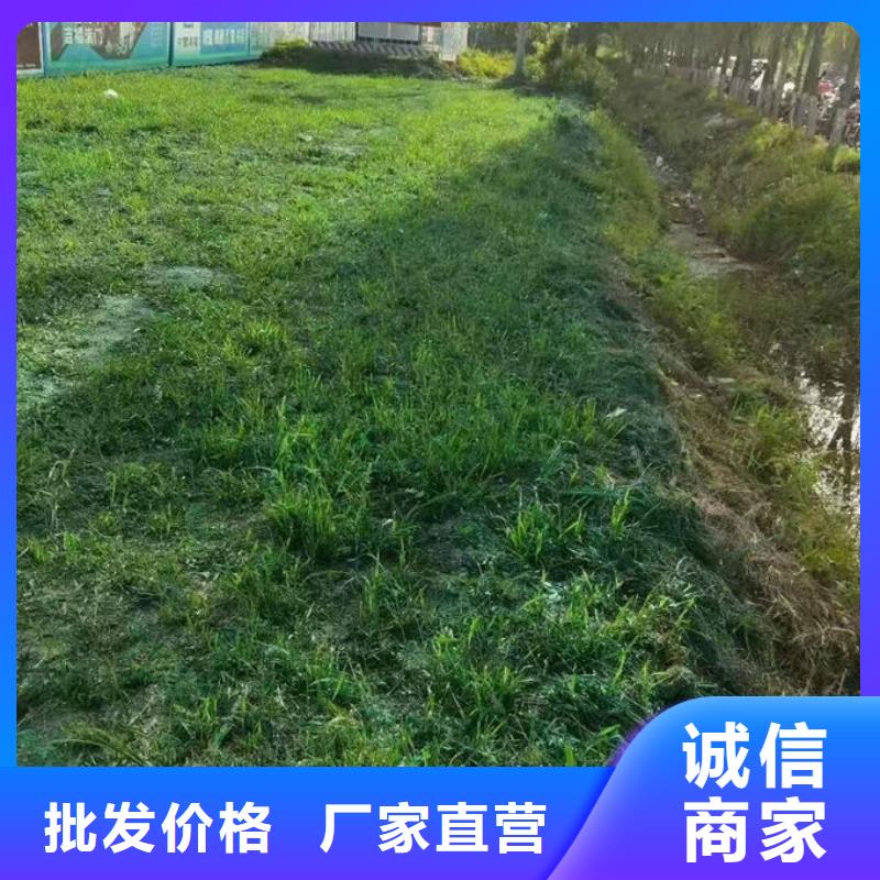 环保抑尘剂色素诚信为本现货