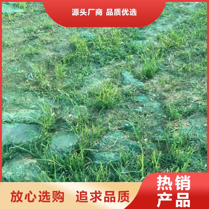 生物酶抑尘剂量大从优适用范围广