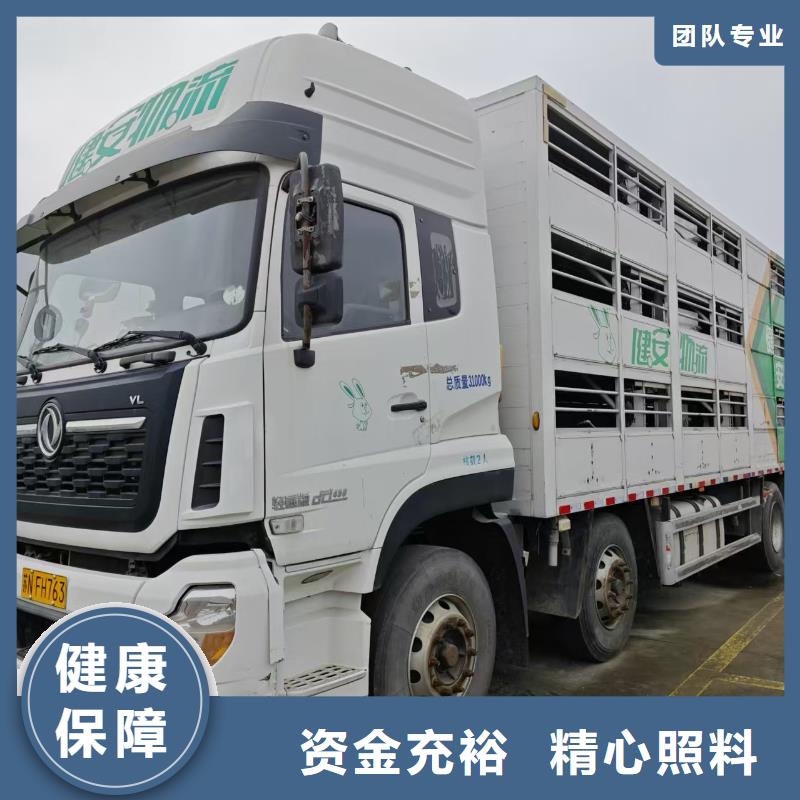 宿迁市沭阳到高栏车肥猪运输服务优质同城生产厂家