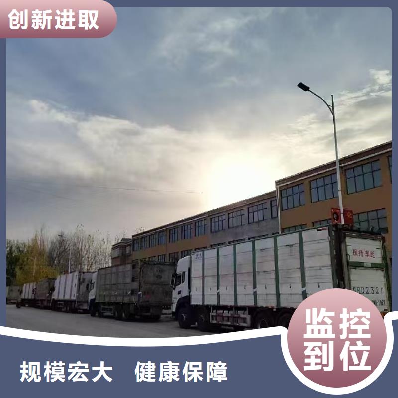 宿迁市泗阳到羊运输专用车保障有力贴心服务