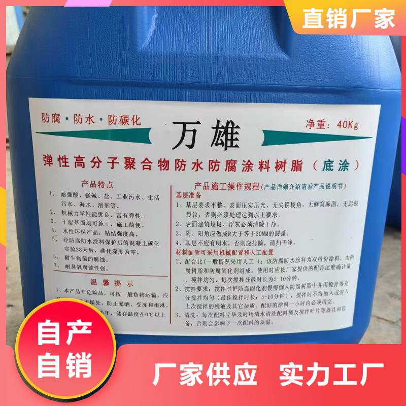 弹性重防腐特种涂料直营自产自销RLFA水性聚乙烯防腐涂料（污水厂）多年实力厂家