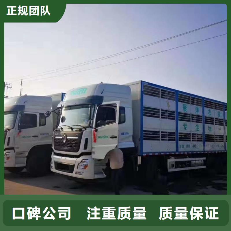 淮安到白银高栏车肥猪运输-专用车快捷