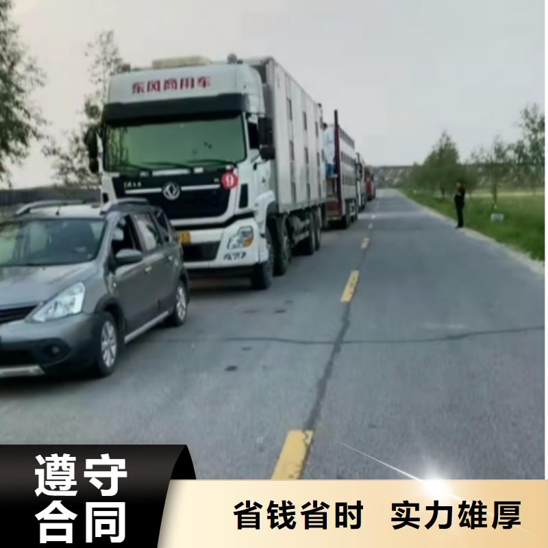宿迁到滁州猪笼车物流-专用车
