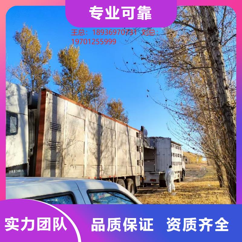 宿迁市到淮南猪只贸易-专用车经验丰富