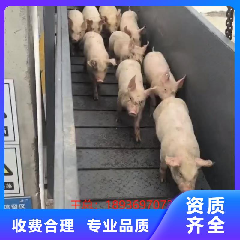 苏州到黔南散装料-恒温车优质服务