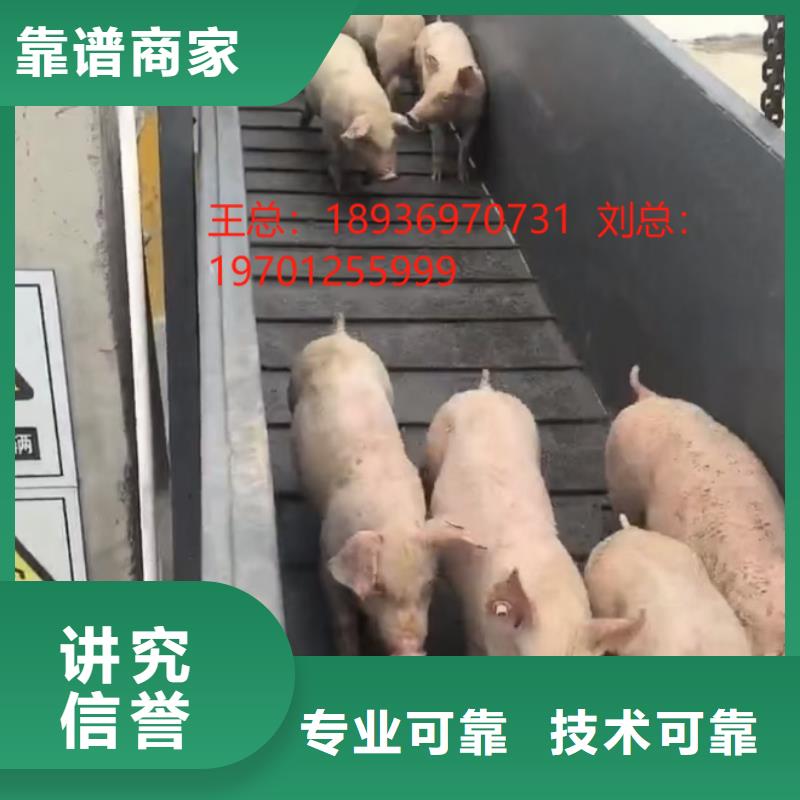宿迁泗洪到福建羊运输-空调车装卸