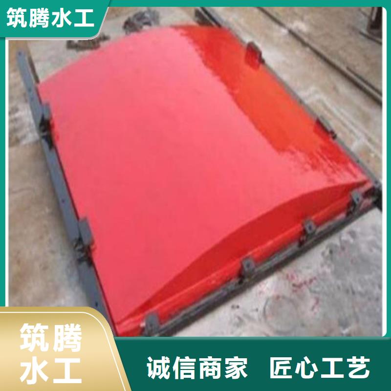 农田水利节制闸真诚合作交货准时