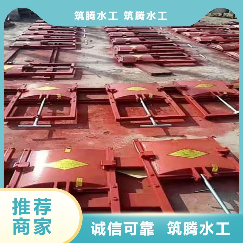 平板铸铁闸门真诚合作多种规格可选