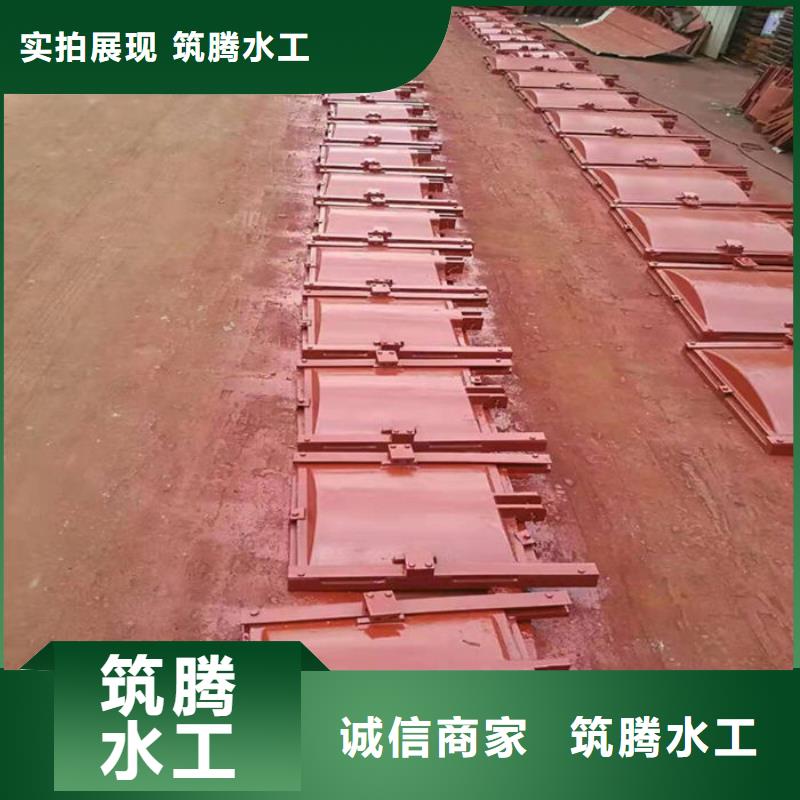明杆式铸铁闸门厂家直营当地公司