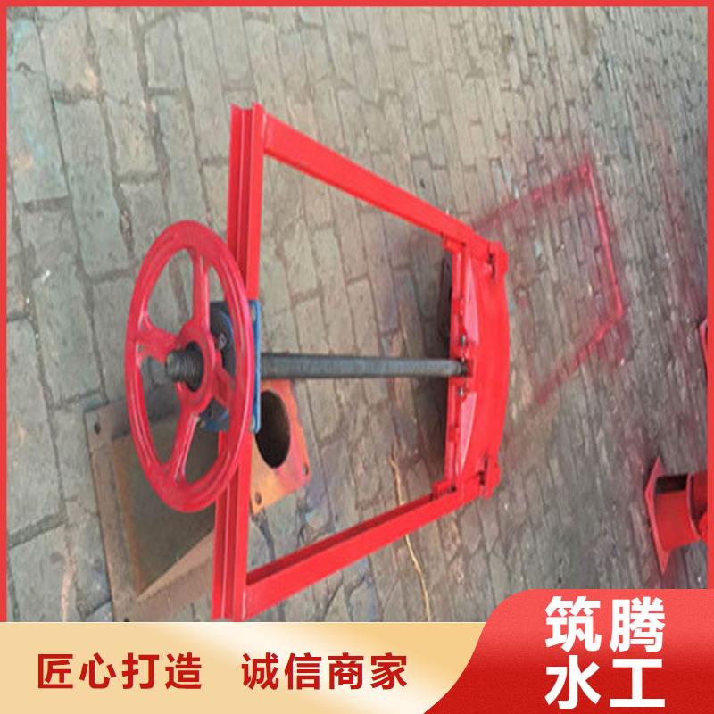 雨污分流闸门用心经营货源足质量好