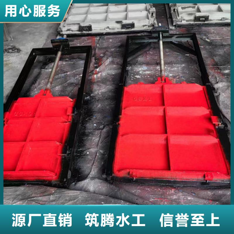 雨污分流闸门用心经营发货迅速
