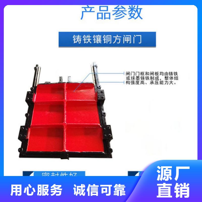 双向镶铜铸铁闸门型号齐全同城服务商
