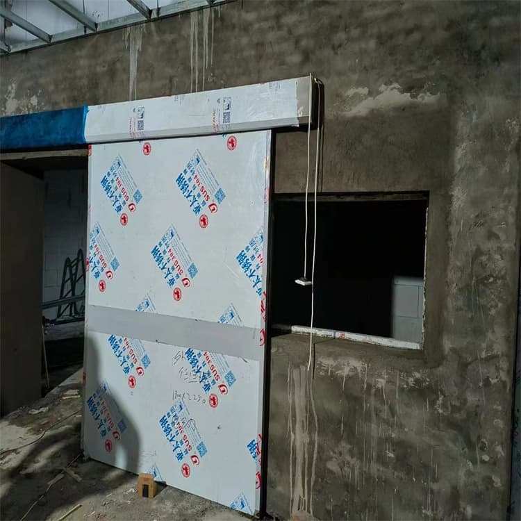 医用手动铅门-实力商家本地厂家