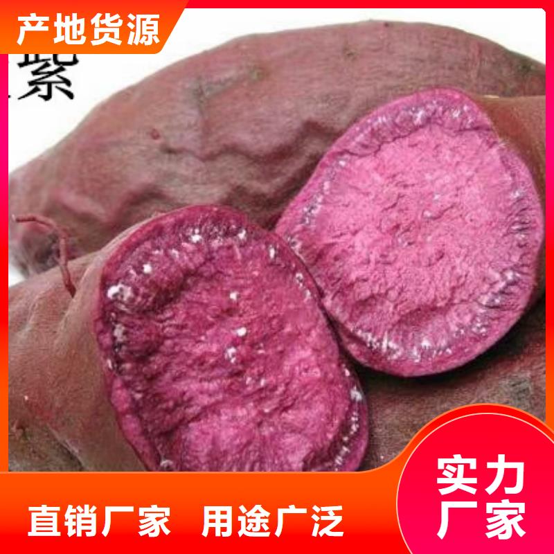 紫薯苗菠菜粉敢与同行比价格产品细节