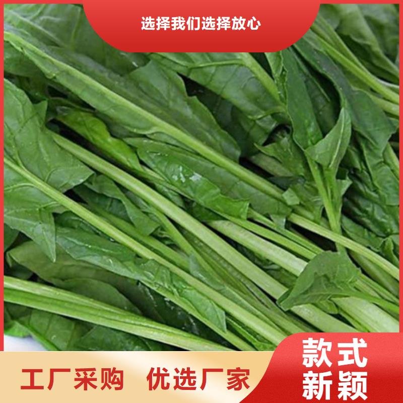 绿色菠菜粉、绿色菠菜粉生产厂家-认准乐农食品有限公司同城经销商