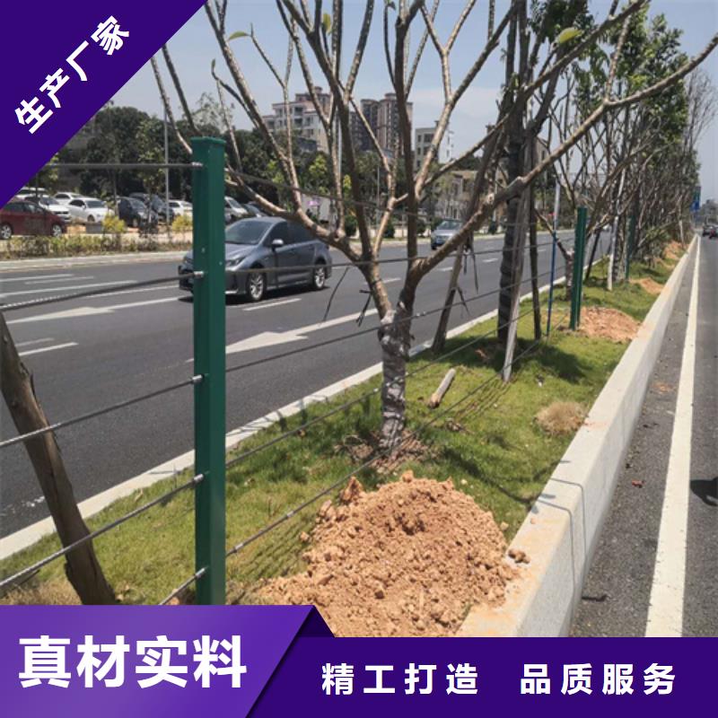 道路隔离栏杆-热销免费询价